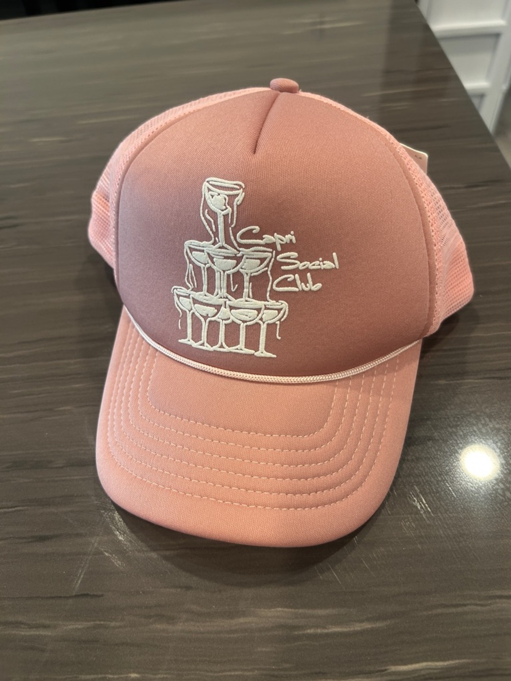 NWT Anthropologie Pink Trucker Hat